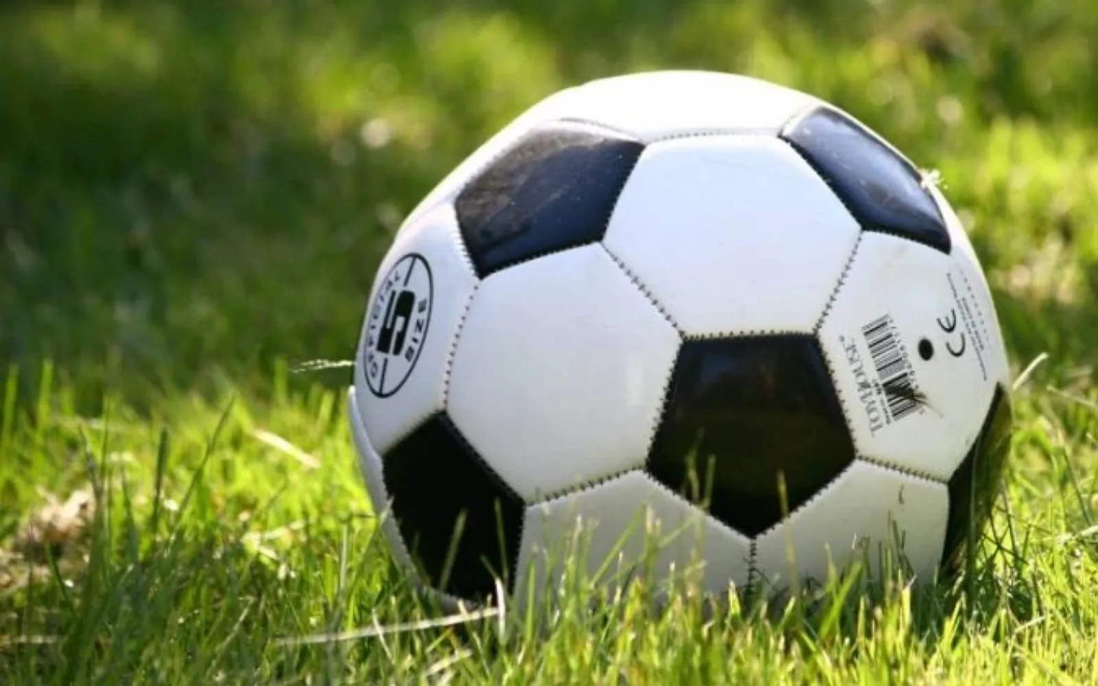 Bola de futebol. Imagem referencial. | Pixabay / Domínio público.